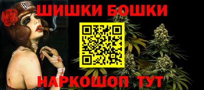 гашик Новодвинск