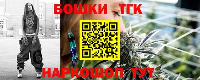 гашик Новодвинск