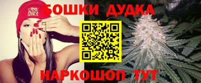 гашик Новодвинск