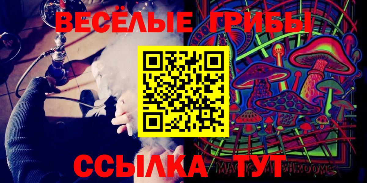 Псилоцибиновые грибы GOLDEN TEACHER Рубцовск