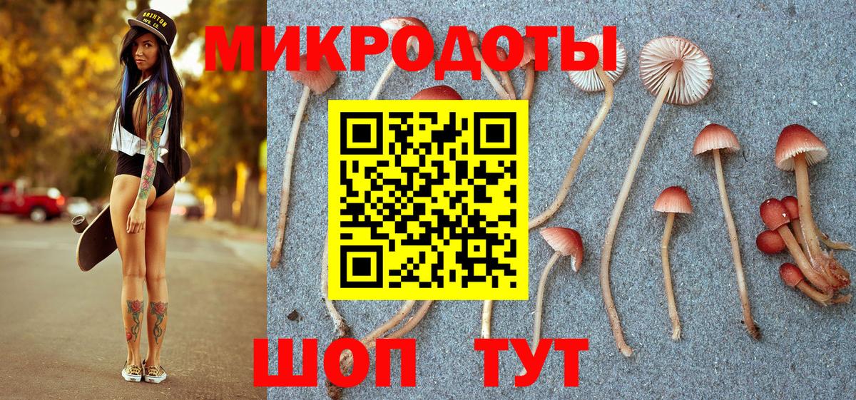 Псилоцибиновые грибы Cubensis  Вход с VPN  Рубцовск 